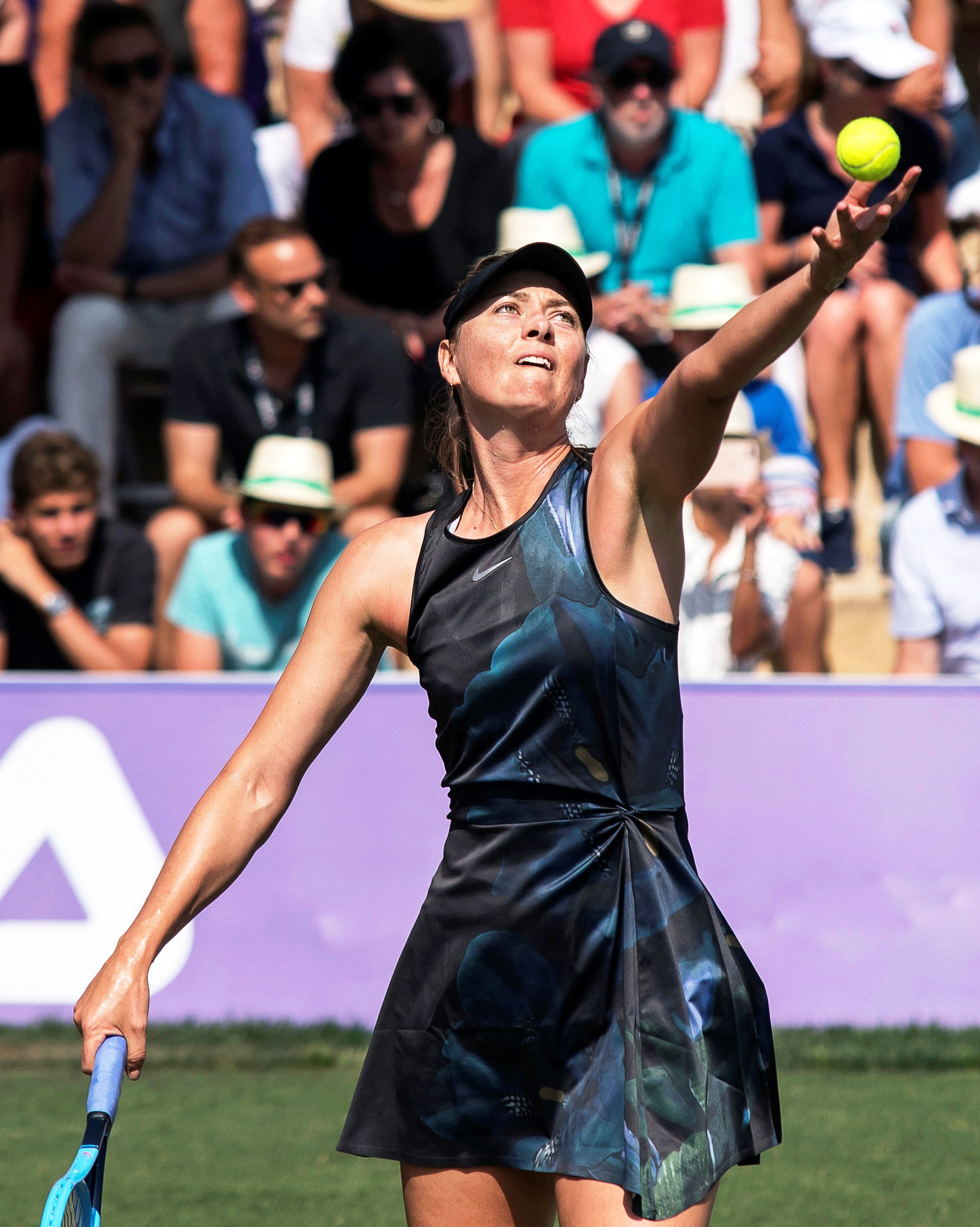 包含莎拉波娃回归赛场，战术调整首场状态亮眼，TL观众沸腾！的词条